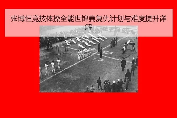 zhang-bo-heng-jing-ji-ti-cao-quan-neng-shi-jin-sai-fu-chou-ji-hua-yu-nan-du-ti-sheng-xiang-jie-3-237.jpg