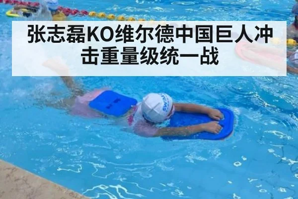 张志磊KO维尔德中国巨人冲击重量级统一战